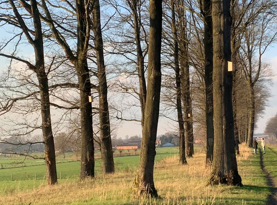 Mezenkasten